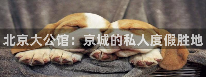 jdb电子官网入口app