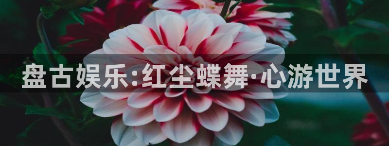 jdb电子官网登录入口