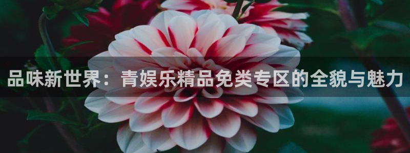 jdb电子游戏官方网站