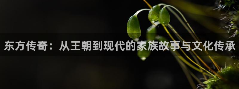 jdb电子app